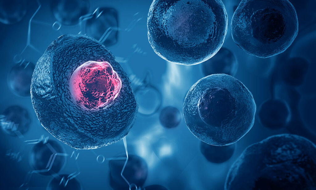 cells